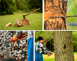 Apensar cortando madera